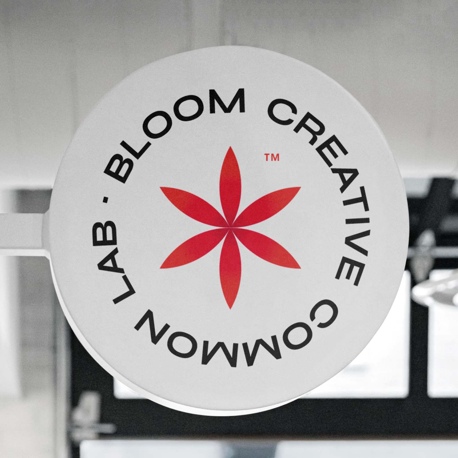 installazione logo design bloom corporate identity